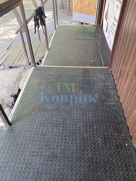 Покриття на пандус "Монетка" — фото 2