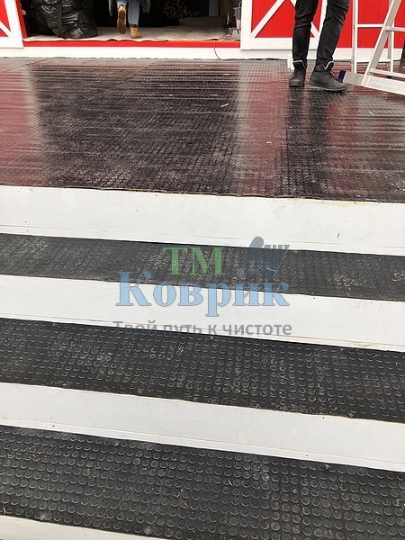 Покриття на пандус "Монетка" — фото 7