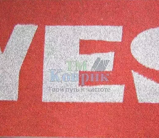 Придверні килимки з дизайном "Чикаго" 1м²