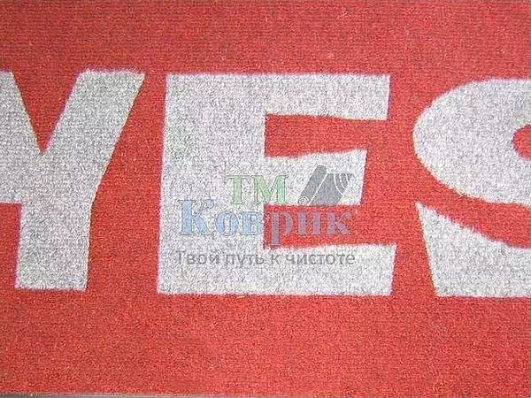 Придверні килимки з дизайном "Чикаго" 1м²
