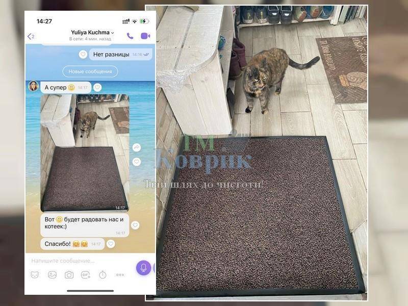 Килимок у прихожу "Париж" 1 кв.м (коричневий) — фото 10